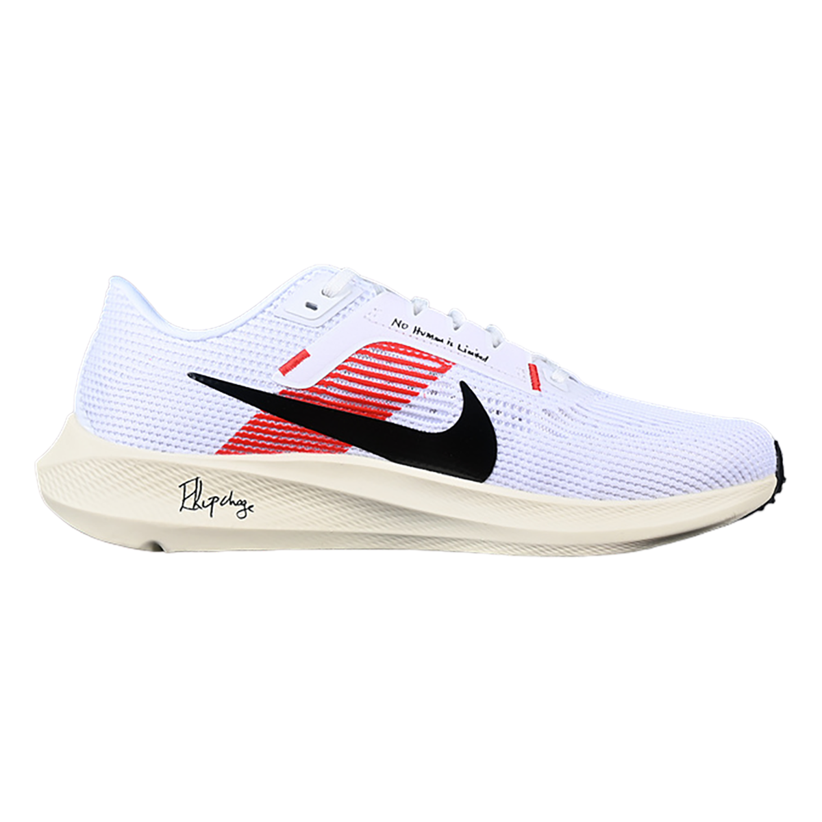 Nike Air Zoom Pegasus 40 EK, , large image number null